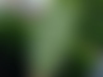 OS MELHORES ESTÃO POR AQUI!