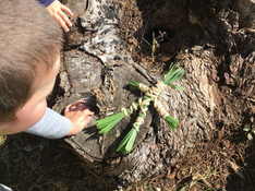 Natural play