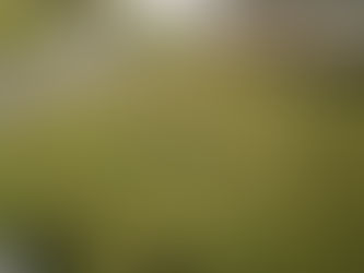 誰の目にもとまらない。