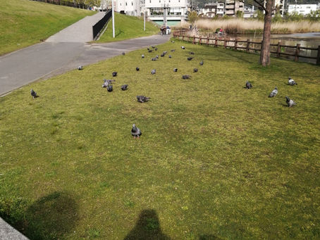 誰の目にもとまらない。