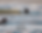 Artboard 3 copy 9.png