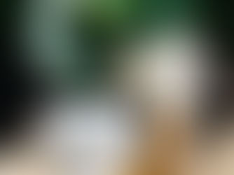 Peach Bodies, BumBums, & Jeff Lewis Taint Candle Featured on Jeff Lewis Live!