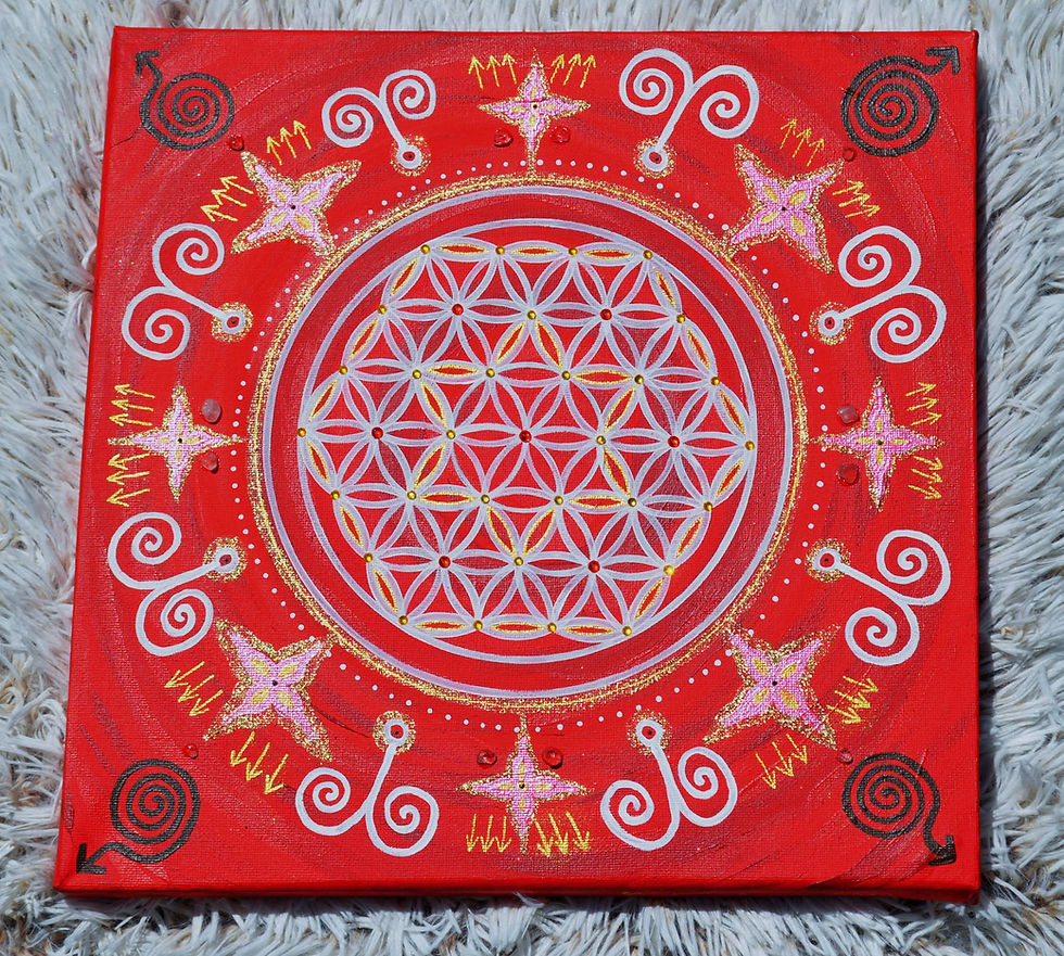 obraz-kvet-života-červené-pozadie-osobný-obraz