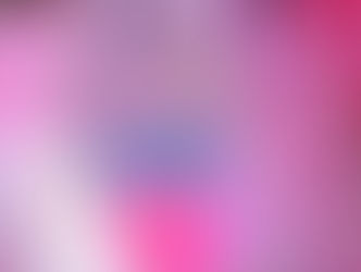 Closet Collection Grand Launching