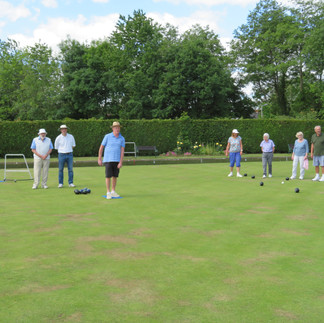Grenn grass, blue sky, people in casual wear. Trees and hedges in the background. Photo was taken in the summer.