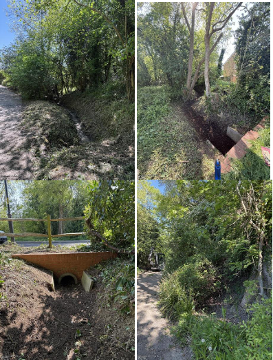 Collage of wooded dirt paths and drainage ditch/culvert beside a road, with dense green trees and sunny, quiet nature scenery.