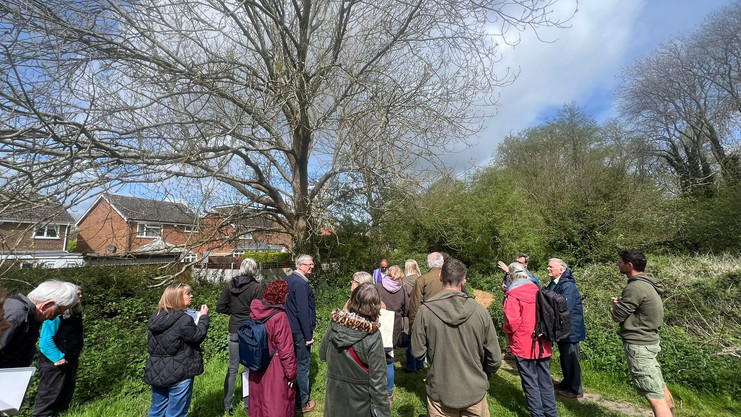 Several people gathered in a wooded area, viewed from behind, watching two people standing near tall trees covered with ivy in dappled sunlight.