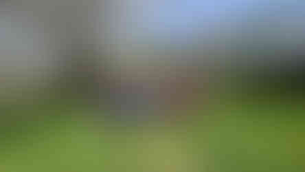 A group of people standing on a grassy path in a green open space, posing for a group photo beneath leafless trees with houses visible in the background on a bright day.