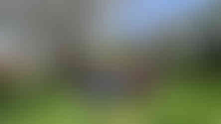 A group of people standing on a grassy path in a green open space, posing for a group photo beneath leafless trees with houses visible in the background on a bright day.