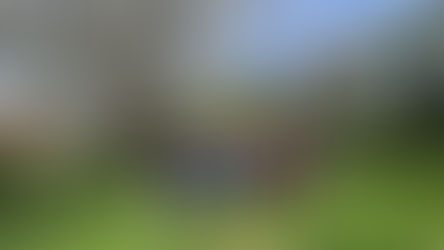 A larger group of people gathered closely together on a grassy clearing, facing the camera for a group photograph with trees and hedges surrounding the area.