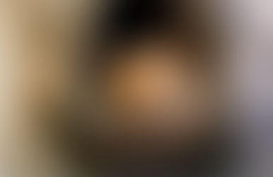 Hazel Dormice take up residency in Southwater - Update from HDC