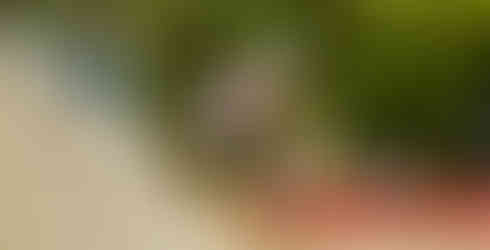 A girl on a kskateboard coming off a ramp. She is wearing a light blue helmet, pink t-shirt and denim shorts, equipped with protective gear on knees and elbows.