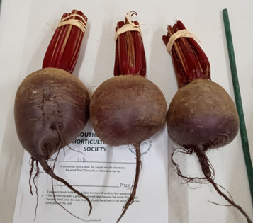 3 large beetroots.