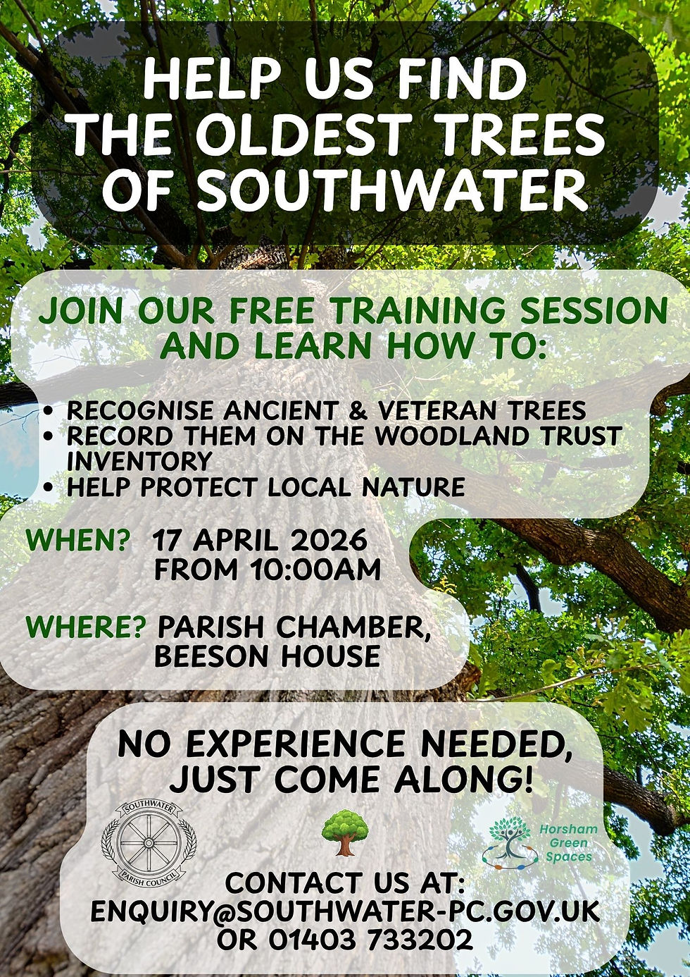 Text over tree background invites to a free session on finding ancient trees in Southwater. Event on April 17, 2026, at Parish Chamber. Contact info included.