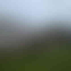 MEtal war memorial with plastic poppies as decoration. White building in the background, grass and conrete road.