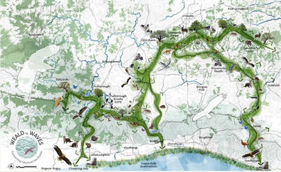 Colourful map of Sussex area of England.