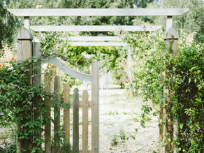 Dit is waarom tuinieren goed is voor je gezondheid
