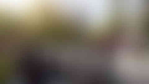 10252094_761951980532118_384764591916814440_n