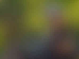 707379726_1695676955475308_2024008921583152364_n