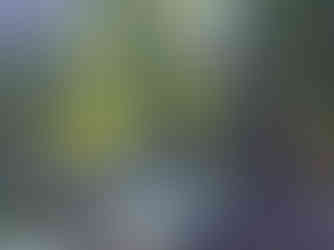 706171040_1695676455475358_4243982673182033015_n