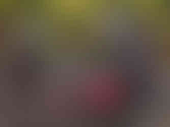 709467602_1695676545475349_3679230952338684797_n