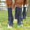 Miniature : Guêtres d'Extérieur Mud Fever Black - Premier Equine