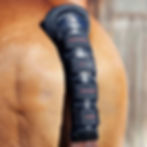 Protège-Queue Carbon Tech Anti-Slip Noir - Premier Equine