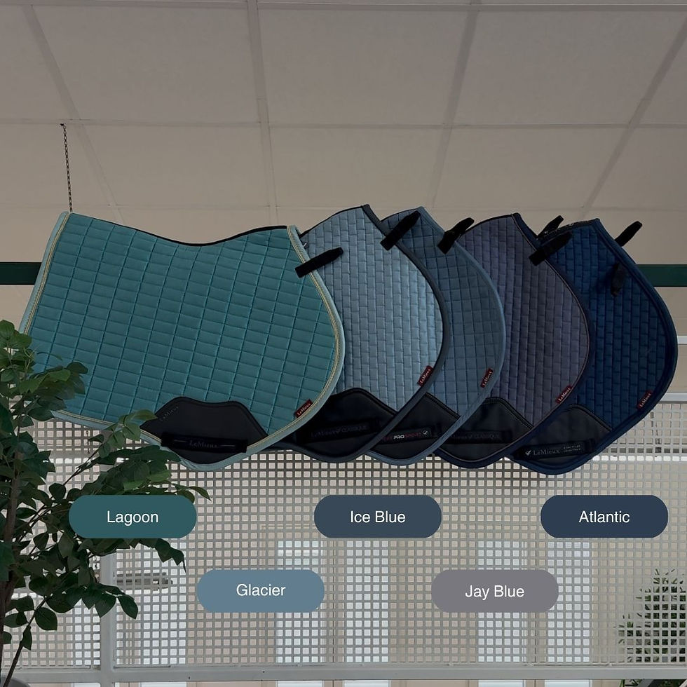 Miniature : Tapis de Selle Suède Close Contact Ice Blue - LeMieux