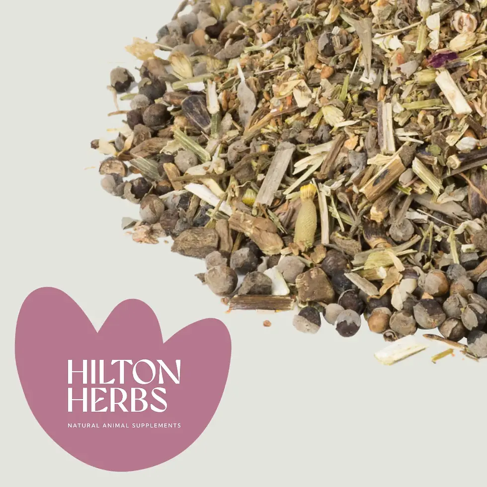 Thumbnail: Equilibrium - Hilton Herbs