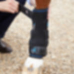 Guêtres de compression Cold Water - Premier Equine
