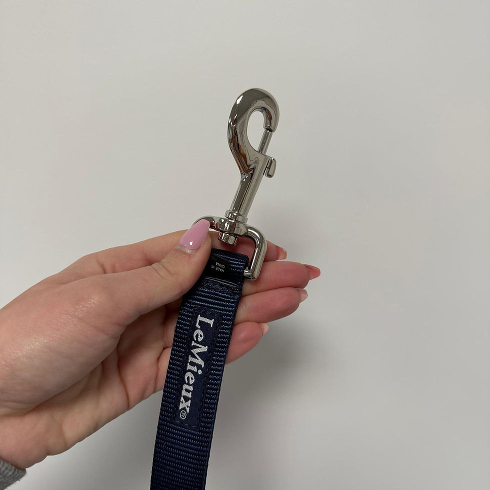 Miniature : Sangle Navy - LeMieux