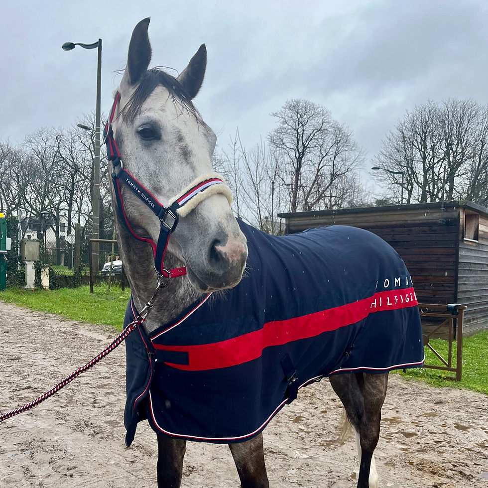 Thumbnail: Desert Sky Kingston Color Block Light & Dry Rug - Tommy Hilfiger