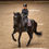Miniature : Tapis de Selle Dressage Purple Glimmer - Equestrian Stockholm