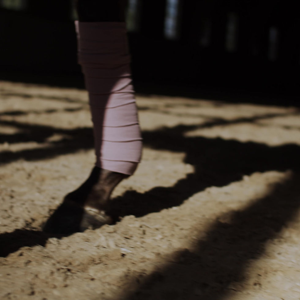 Thumbnail: Bandes de Polo Pink Crystal - Equestrian Stockholm