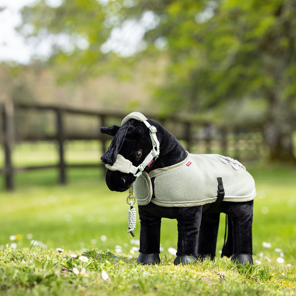 Thumbnail: Couverture Mini Pony Fern - LeMieux