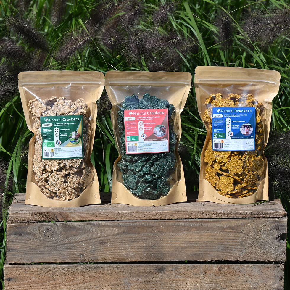 Miniature : Natural'Crackers Digest - Natural'Innov