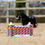 Thumbnail: Mur de Puissance Mini Pony - LeMieux