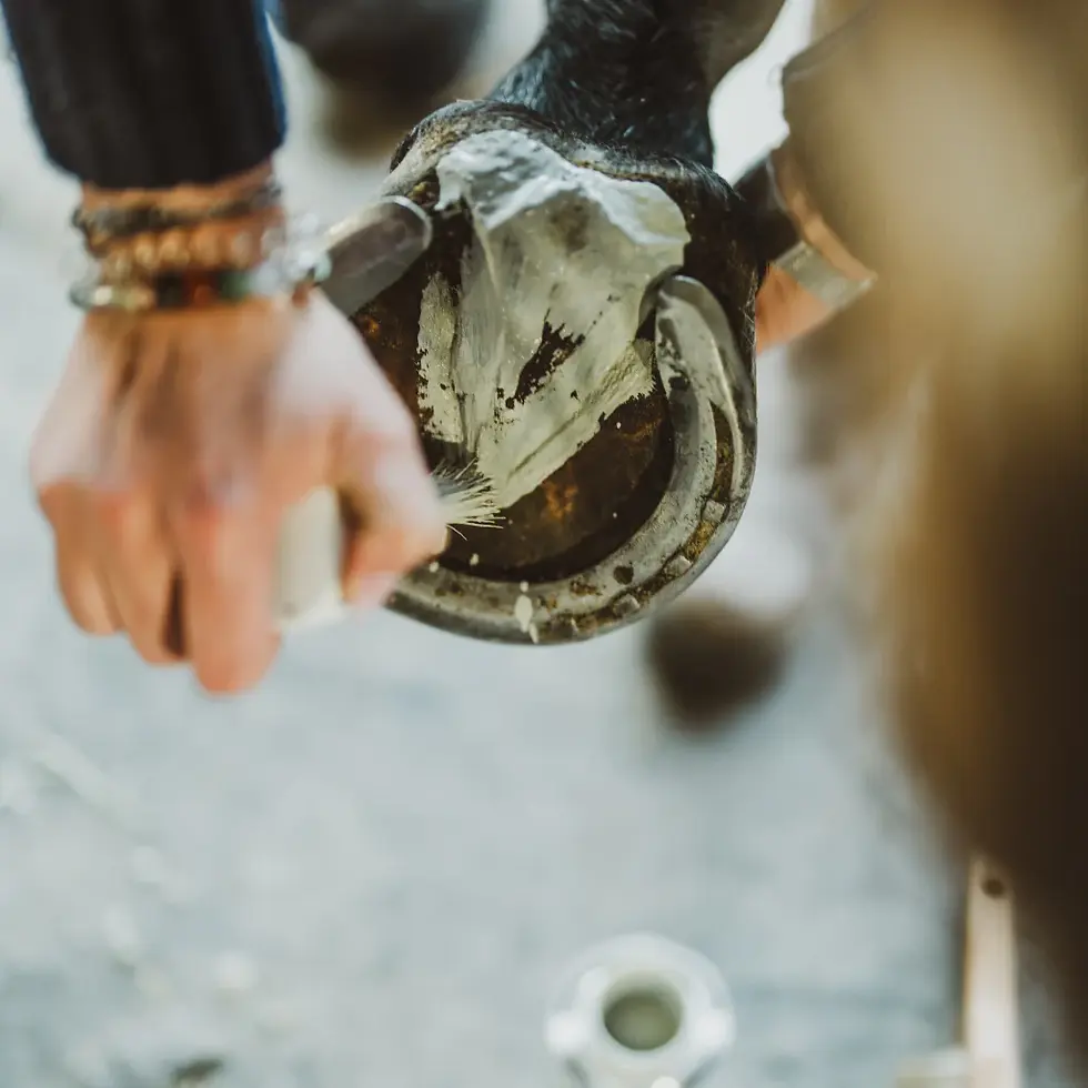 Miniature : Argile assainissante sabots - Cura Naturale