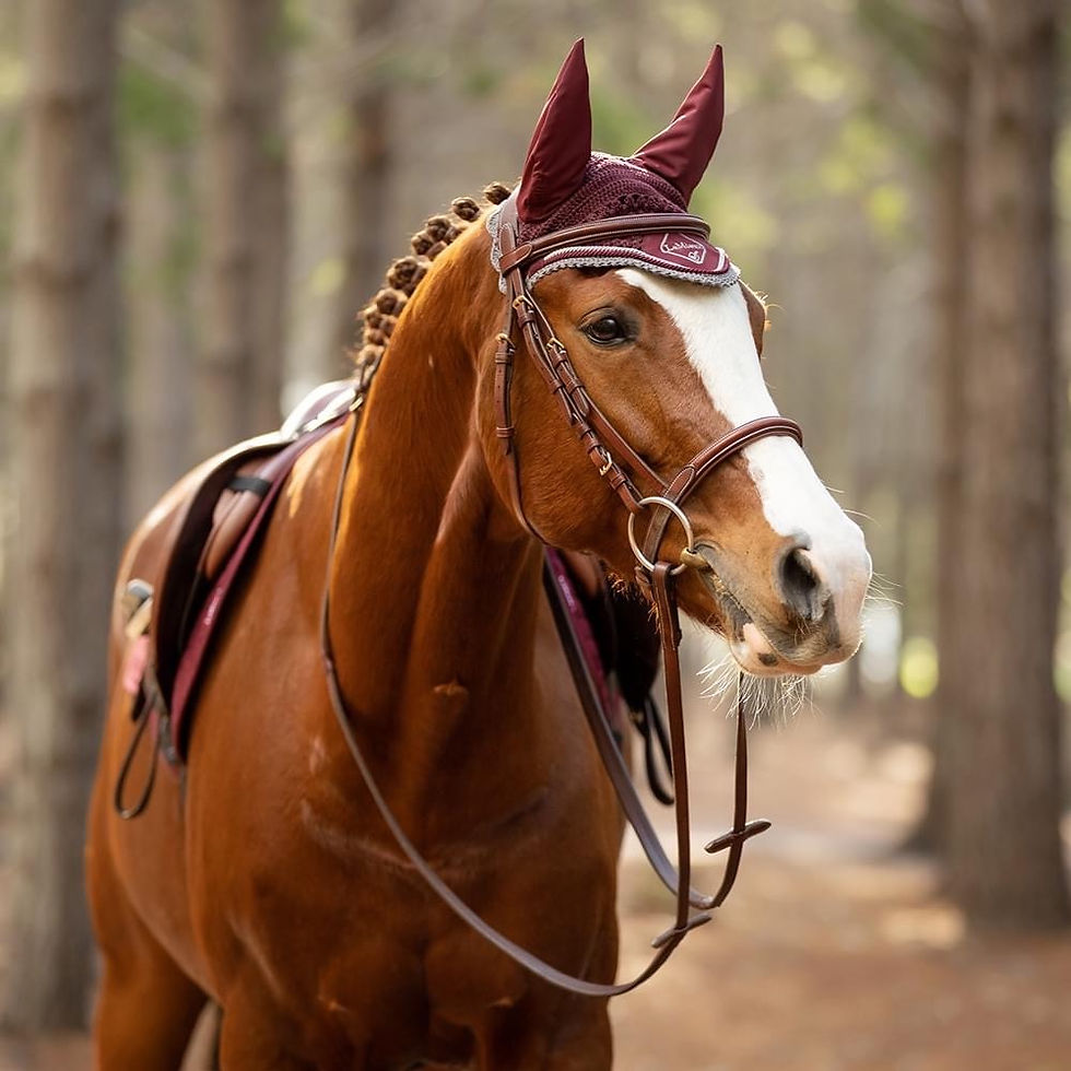 Thumbnail: Bonnet Classic Rioja - LeMieux