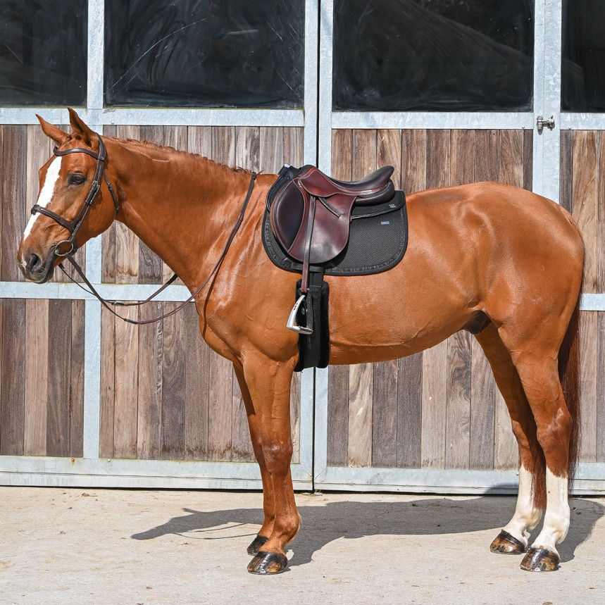 Thumbnail: Tapis de Selle Mesh Noir - GEM