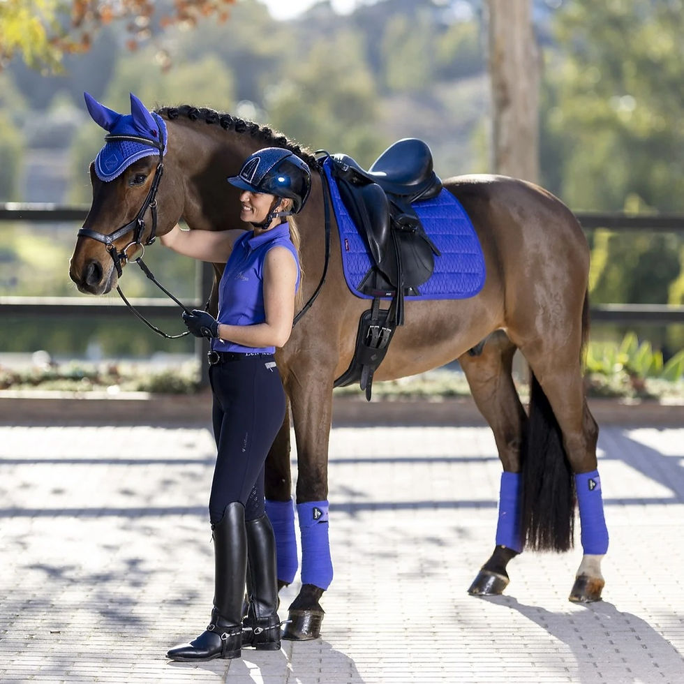Miniature : Tapis de Selle Carbon Mesh Dressage Bluebell - LeMieux