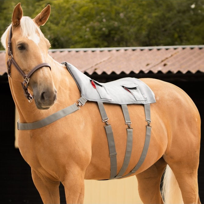 Miniature : Tapis de massage - Equilibrium