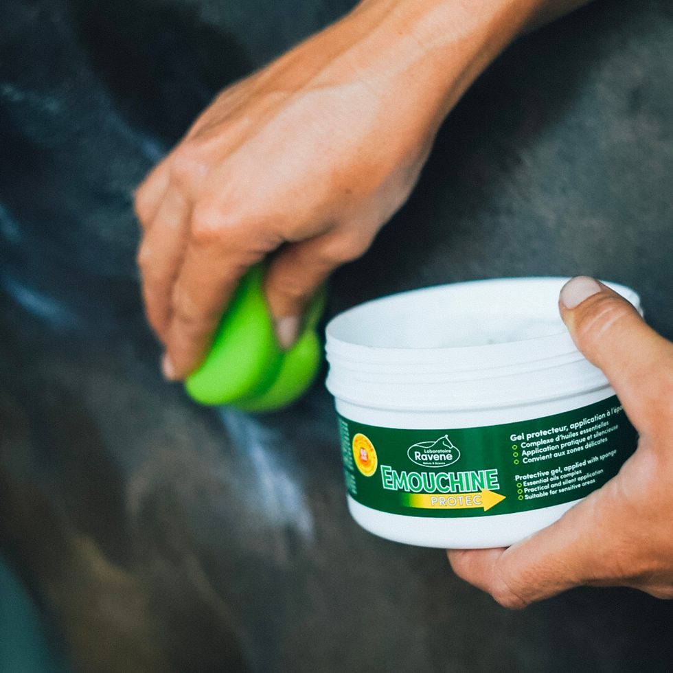 Miniature : Émouchine Protec Gel Pot + Éponge - Ravene