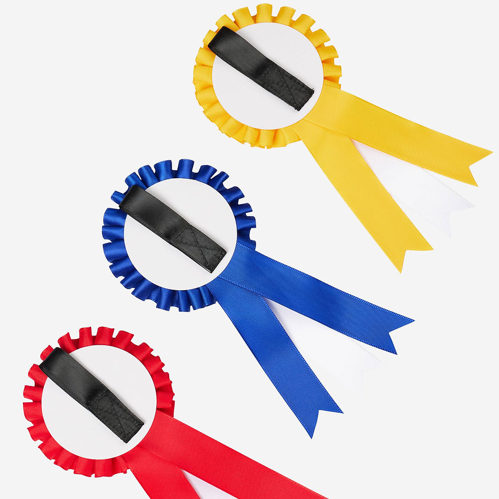 Miniature : Pack de Flots Hobby Horse Multi - LeMieux