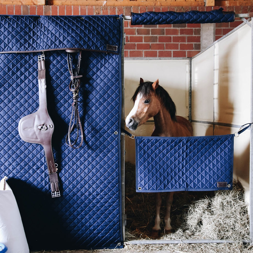 Thumbnail: Protection de Tête Bleu - Kentucky Horsewear