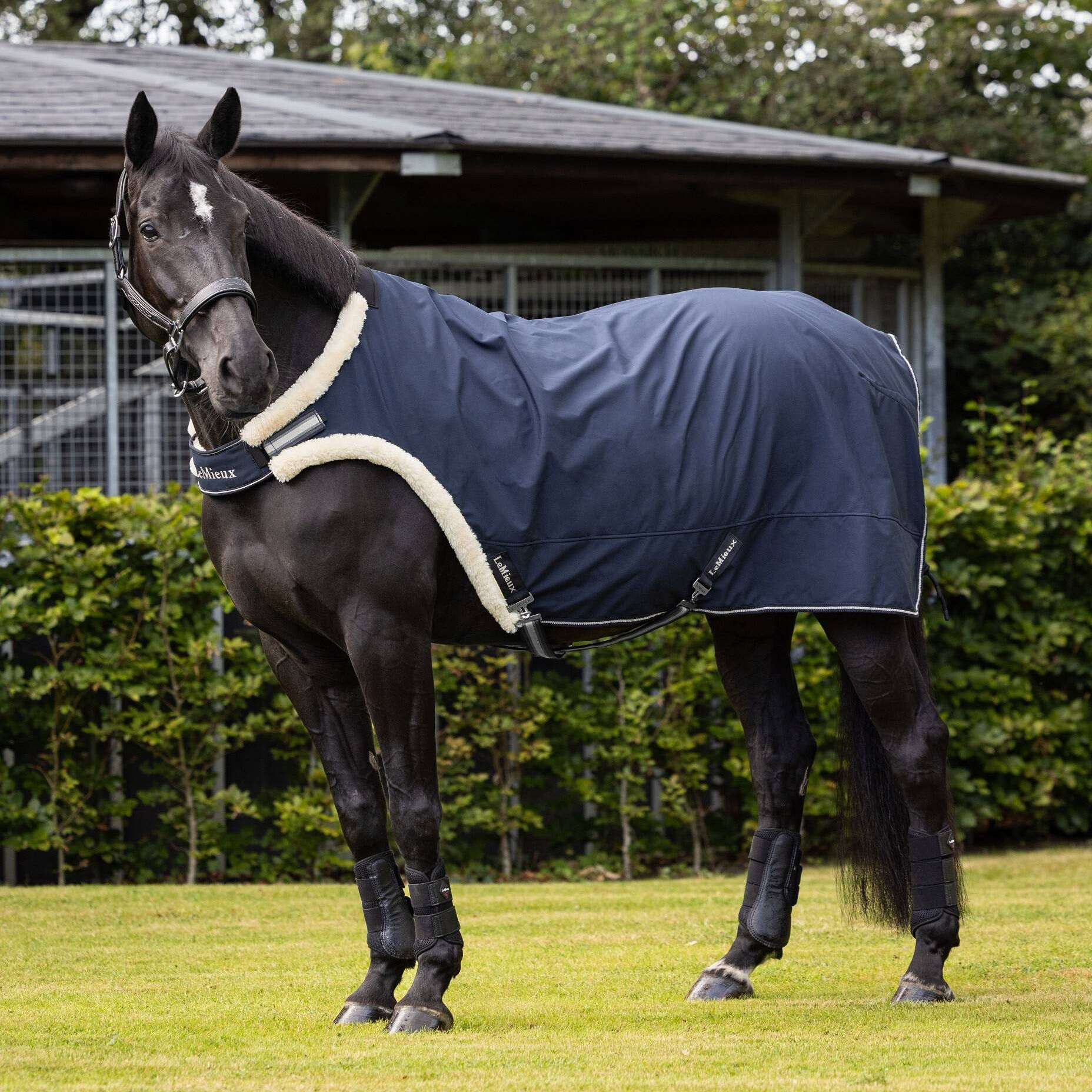 Couverture de Marcheur Navy - LeMieux