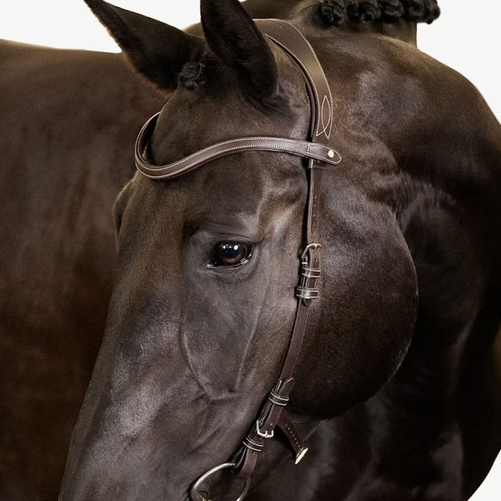 Miniature : Bridon Helsinki Marron - PS of Sweden