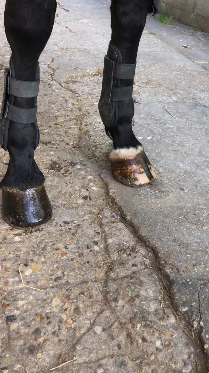 Miniature : Natural’Coat Incolore - Natural'Innov