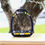 Thumbnail: Stickers Étriers Fenua - Flex-on