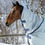Miniature : Couvre-cou Power Turnout Combi - Bucas